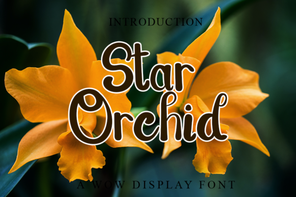 Star Orchid: A Charming Handwritten Font for Creative Campaigns